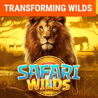Safari Hoang Dã